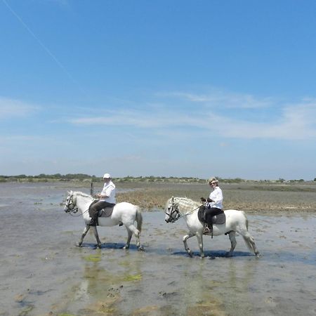 Mas De La Grenouillere Hotel Et Centre Equestre En Pleine Nature Saintes-Maries-de-La-Mer Exterior foto